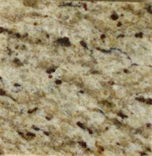 Table Tops: Color Swatch: Giallo Ornamental giallo ornamental granite color swatch